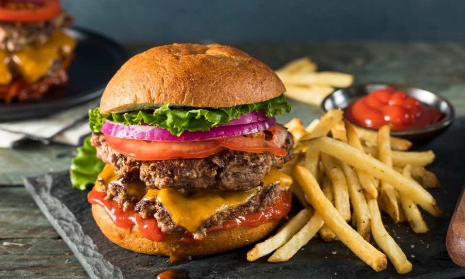 fries and burger.