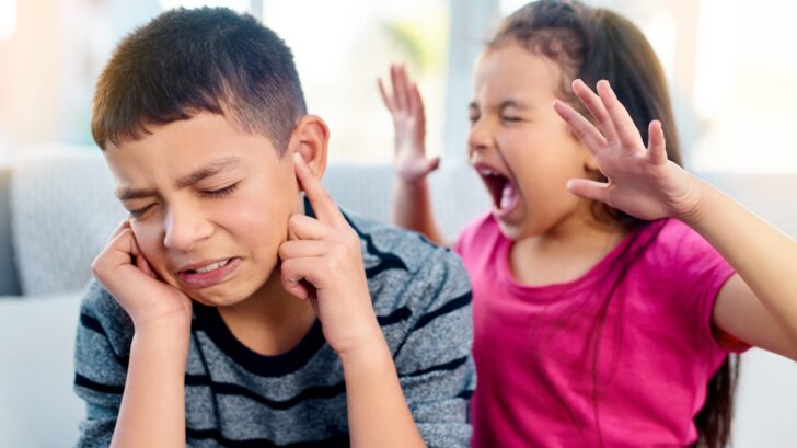 girl irritates her brother.