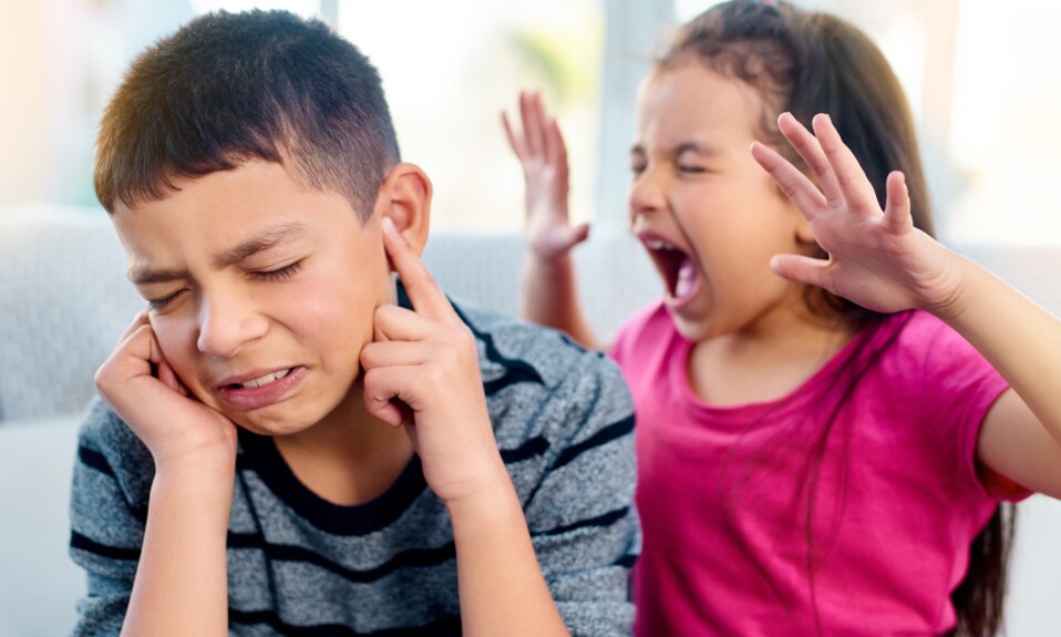 girl irritates her brother.