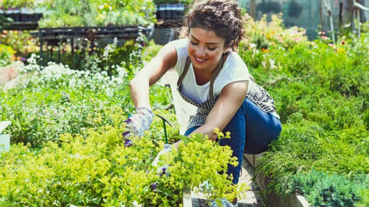 Know These Amazing Benefits Of Therapeutic Gardens 