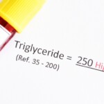 Triglycerides.