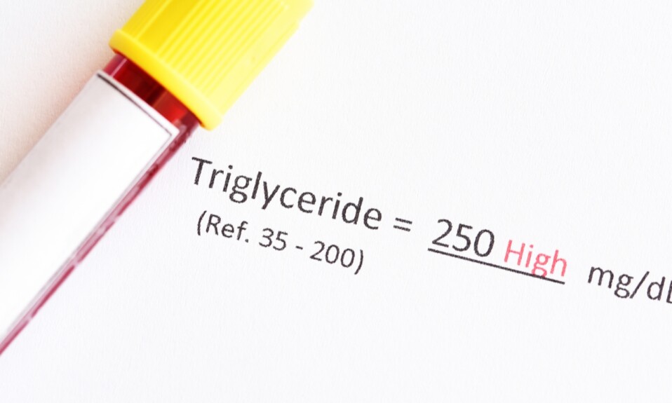 Triglycerides.