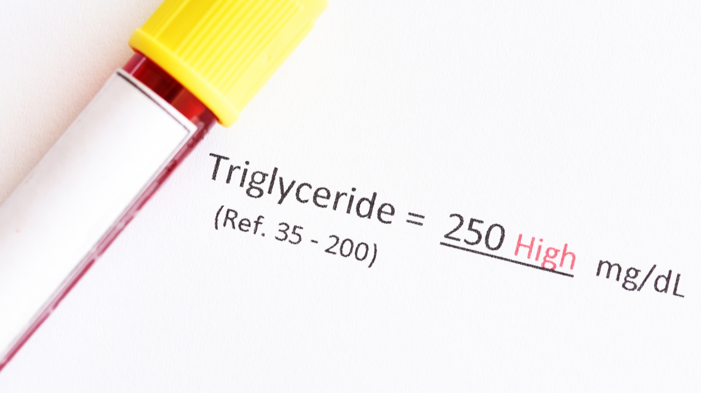 Triglycerides.